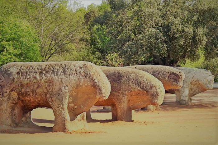 Ruralrut-El Tiemblo Wifi, Cabina De Hidromasaje, Aire Acondicionado Y A Pocos Metros De Zonas De Bano Naturales Dış mekan fotoğraf
